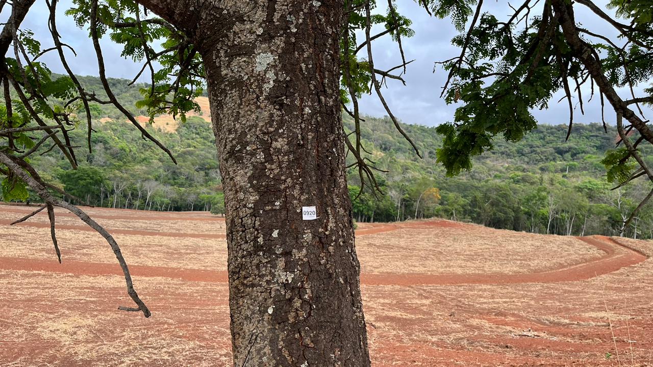 Serviço Ambiental 5